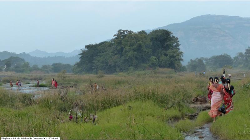 Photo: Udaykumar PR via Wikimedia Commons/ CC BY 3.0