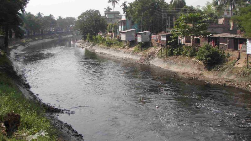 Researchers from IITB identify a bacterial strain that prefers aromatic pollutants over sugar as food 