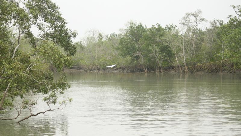 Bureaucracy and political interests hinder the implementation of the Forest Rights Act, finds study 