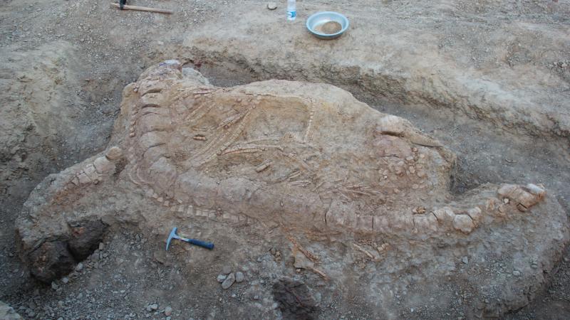 Photos : Prof. Guntupalli