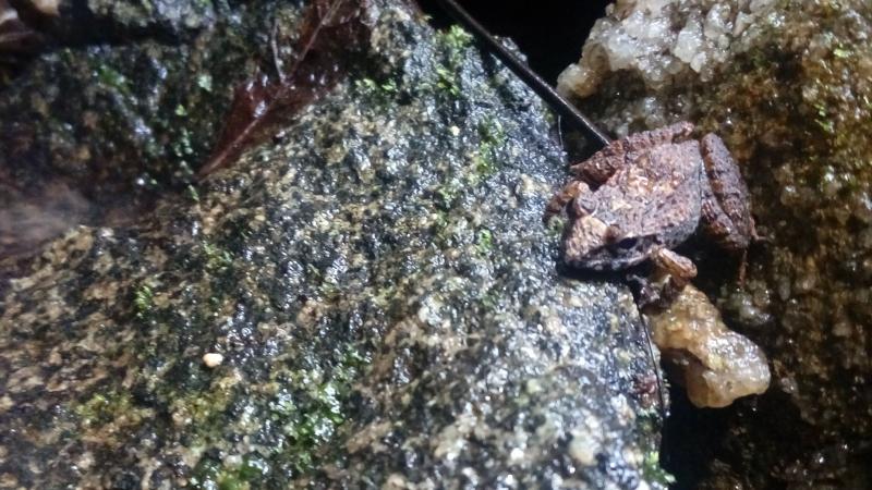 Photo : Vidisha Kulkarni / Research Matters