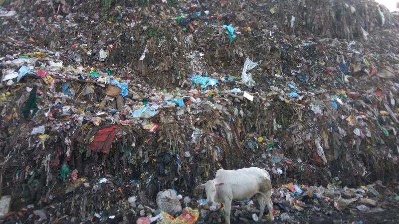 Photo : Vignesh Kamath / Research Matters