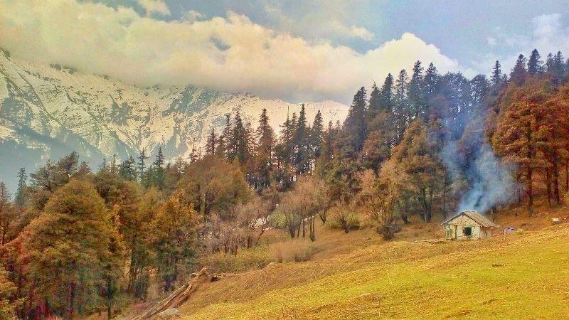 Warming climate is changing the alpine vegetation of the lofty Himalayas