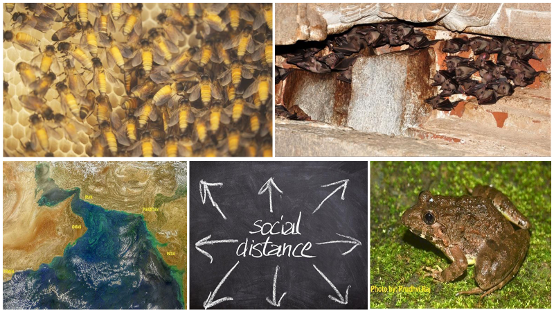 2020 ರ ರಿಸರ್ಚ್‌ ಮಾಟರ್ಸ್ ನ ಜನಪ್ರಿಯ ಕನ್ನಡ ಲೇಖನಗಳು