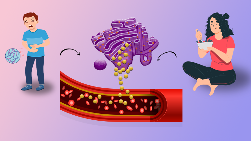 The Lipid Travel Diary