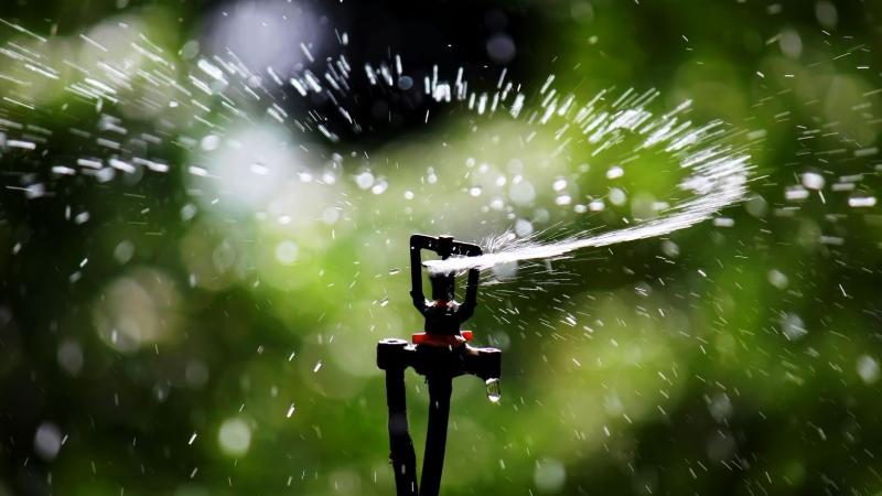 Photo : Anton Croos, Art of Photography via Wikimedia Commons