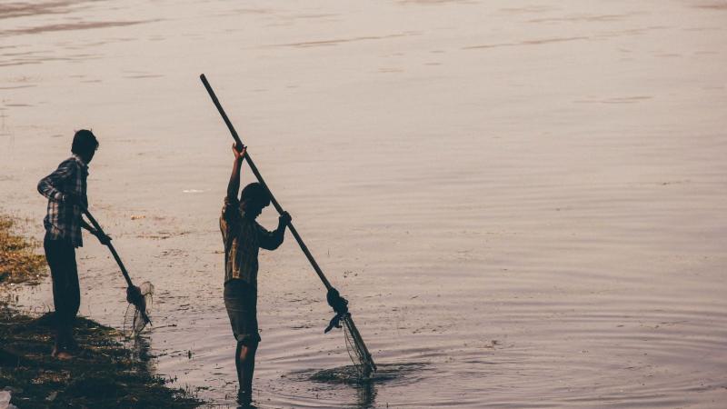 মিট্চেল এন জি লিয়াং, আনস্প্লাছৰ পৰা