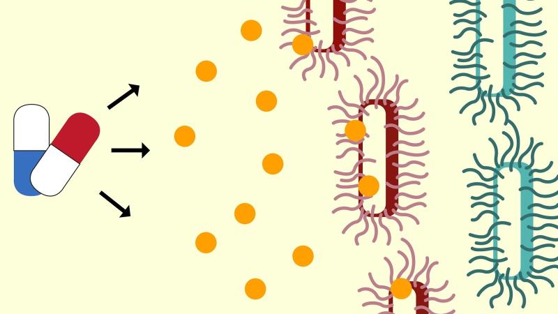Infographic : Purabi Deshpande / Research Matters