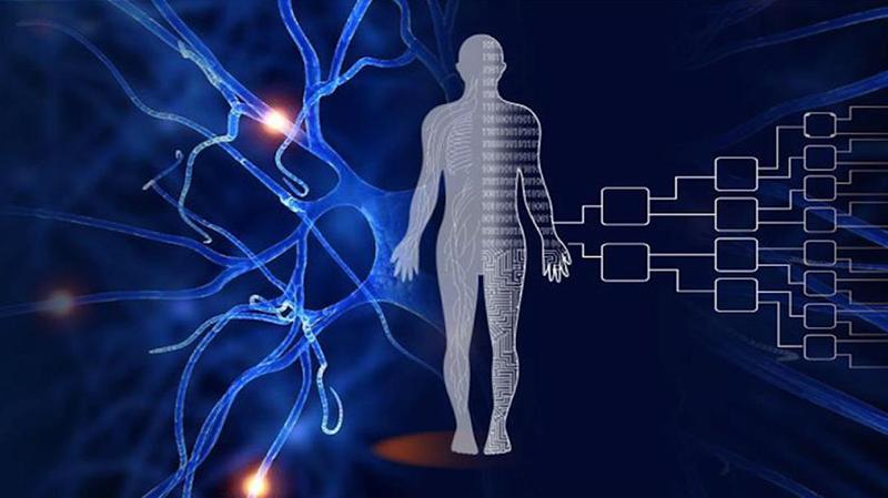 বিদ্যাৰ্থীসকলে এতিয়া সহায় কৰিব পাৰে ‘প্ৰকল্প মানৱ - মানৱ মানচিত্ৰৰ’ নিৰ্মাণত