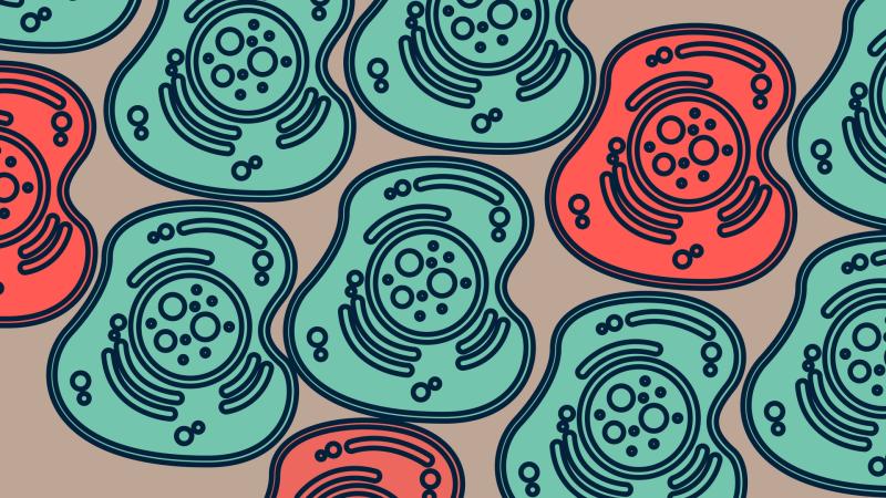 Illustration : Purabi Deshpande / Research Matters