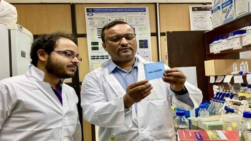 Mitochondria kill themselves to protect neurons from an early death