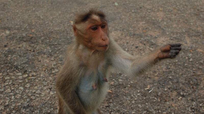 Photo : Shreejata Gupta