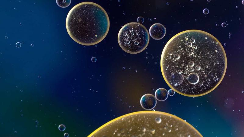 Researchers from the Indian Institute of Technology Bombay (IIT Bombay) suggest that better conductivity of oil may help water droplets come together.