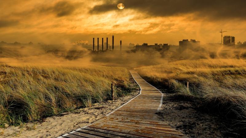 Fertilisers, livestock and biomass burning are spewing ammonia into the air across India