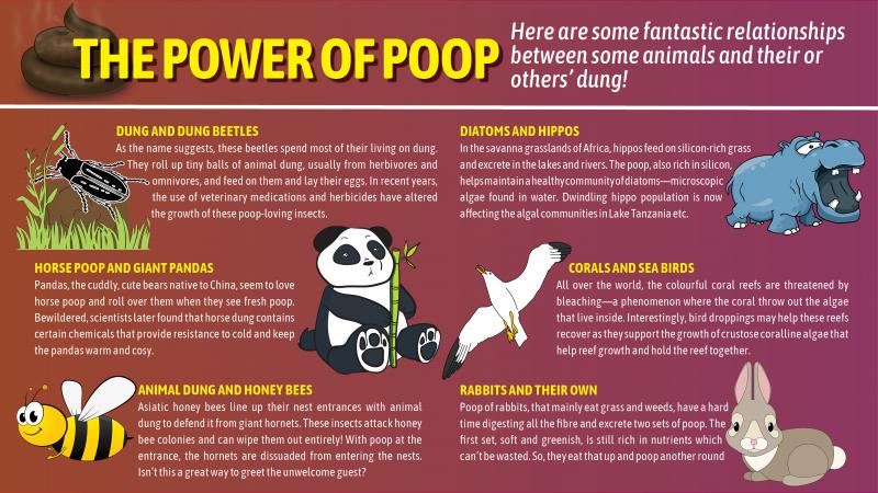 The power of poop