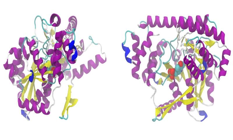 What causes tau to tangle?