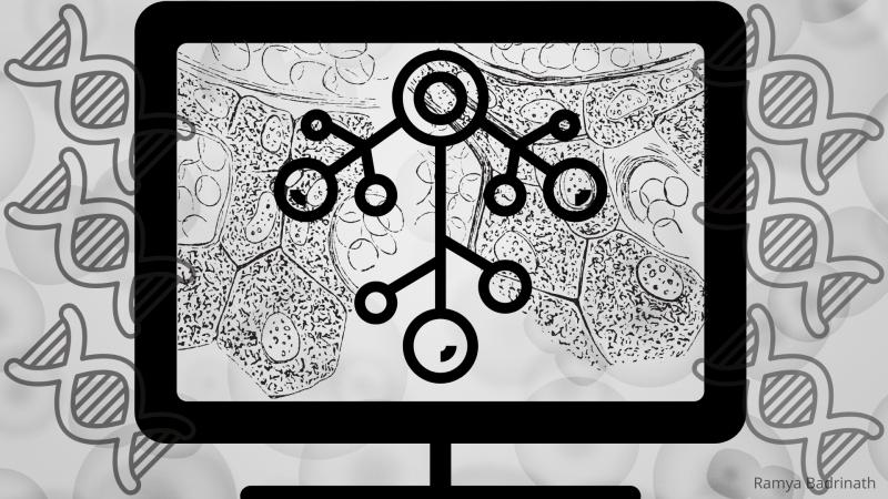 A Novel Approach to Tracking Cellular Ancestry, Computationally