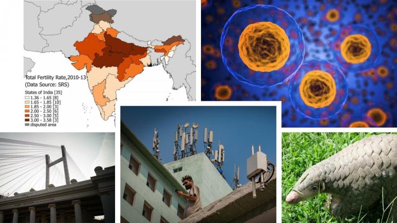 Reader’s choice - Popular articles on Research Matters for 2018