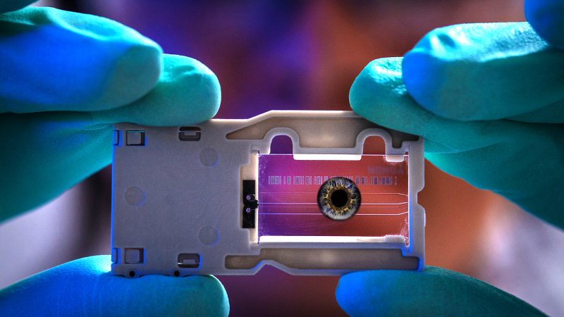 A novel retinal model mimicking the human visual system