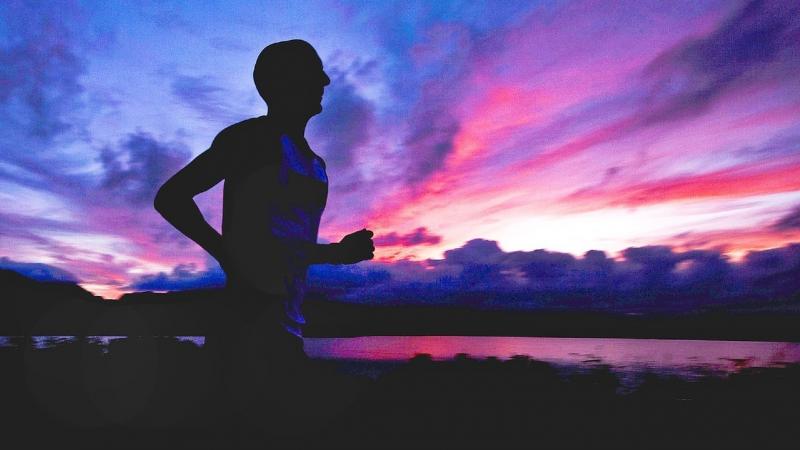 Endurance-running and human evolution | News+Views | Research Matters