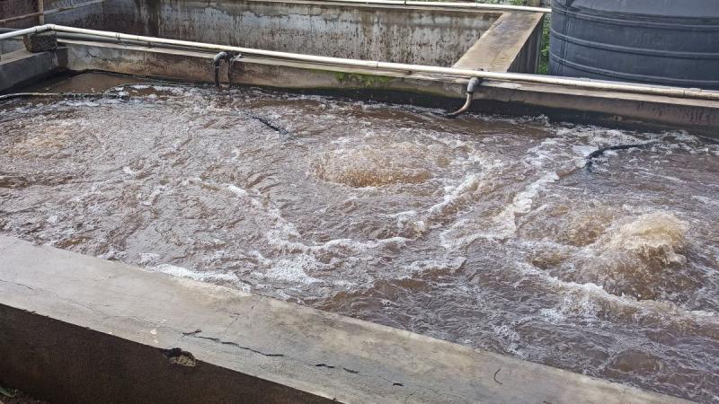 A small-scale wastewater treatment plant. Photo: H. S. Sudhira