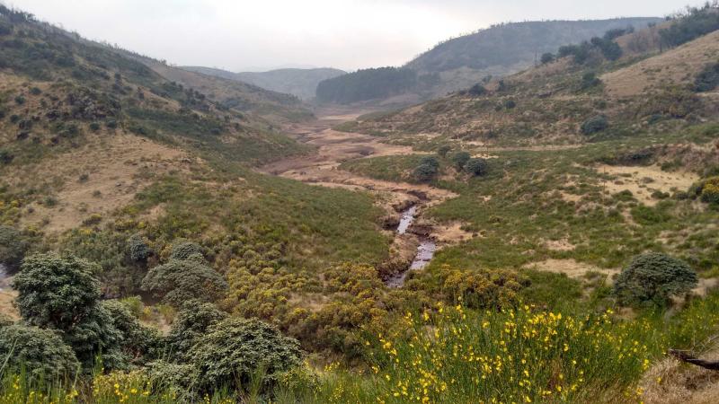 Study provides insights into natural radioactivity in the Western Ghats