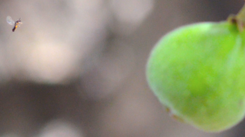 Photo : Anusha LK Kumble