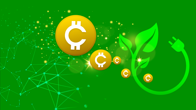 IIT Bombay team wins Algorand grant for blockchain research