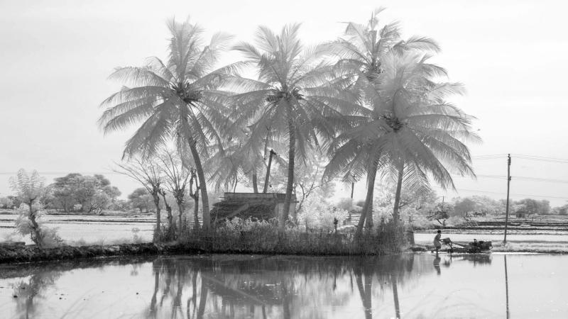 Slipping away from the surface: Impact of Kerala 2018 floods on soil erosion