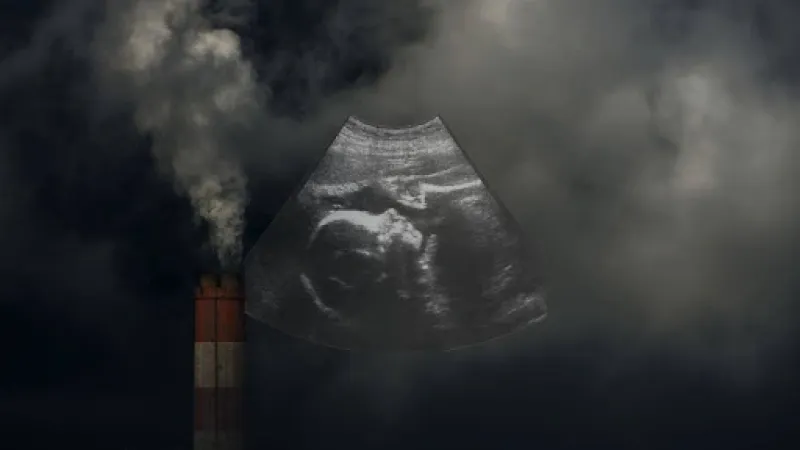 Study Reveals Air Pollution's Adverse Impact on Newborn Health in India