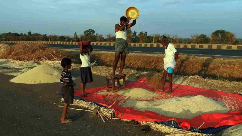 Too hot to work? It’s the warming climate to blame and that’s threatening crops too