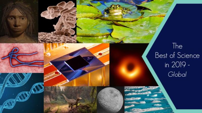 A journey through the year for science in 2019