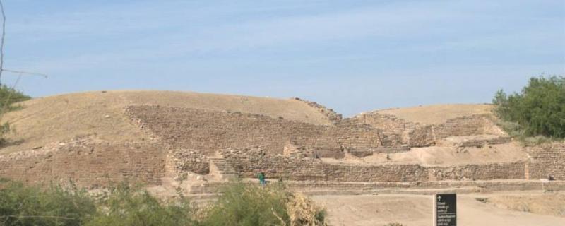 Photo : Purabi Deshpande / Research Matters