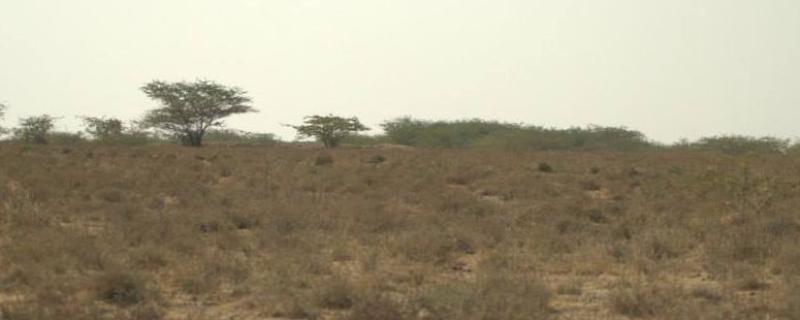 Photo : Purabi Deshpande / Research Matters