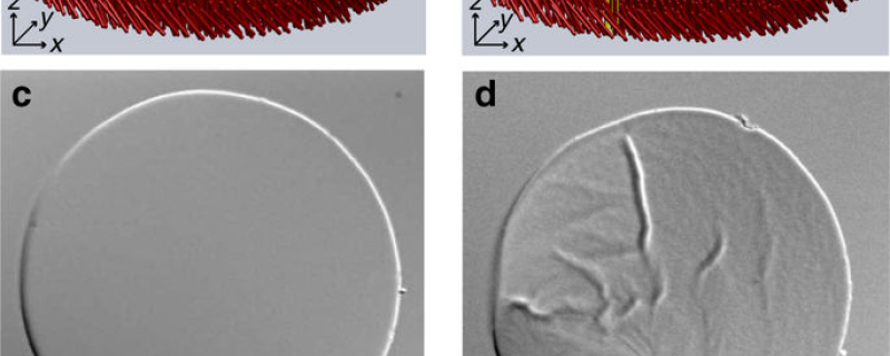 Fluid and crystalline phases of colloidal membranes from Nature Communications