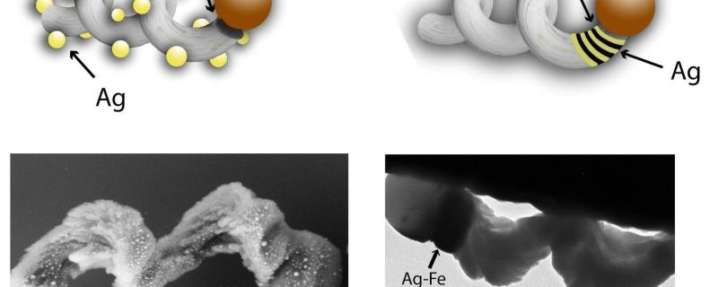 Schematic of the two designs (Credit: Ghosh and Ghosh, Sci. Robot. 3, eaaq0076-2018)