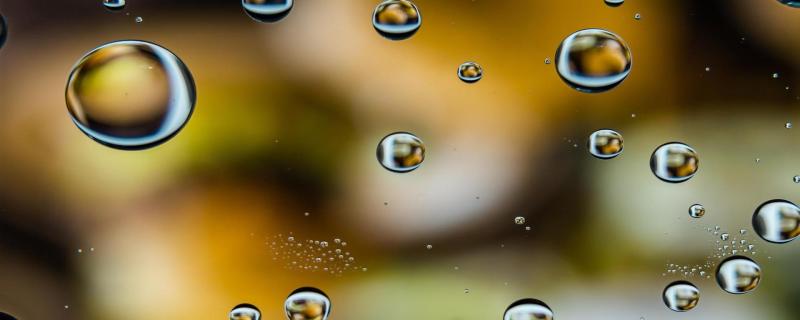 What influences coronaviruses’ survival on different surfaces?