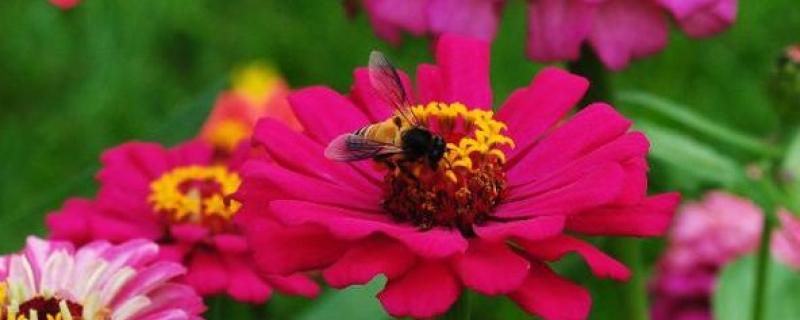 Photo : Purabi Deshpande / Research Matters