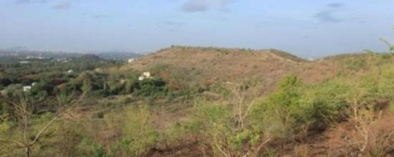 पुण्याची वेताळ टेकडी आणि पर्वती टेकडी. छायाचित्र सौजन्य: आशिष नेर्लेकर