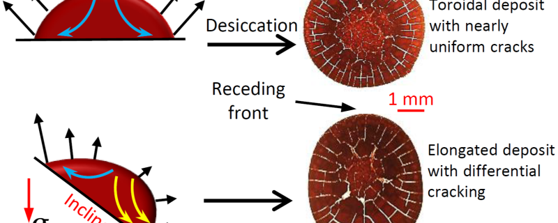 वाळलेल्या रक्ताच्या थेंबातील भेगांवर तिरक्या पृष्ठभागाचा परिणाम दर्शवणारी रेखाकृती. 