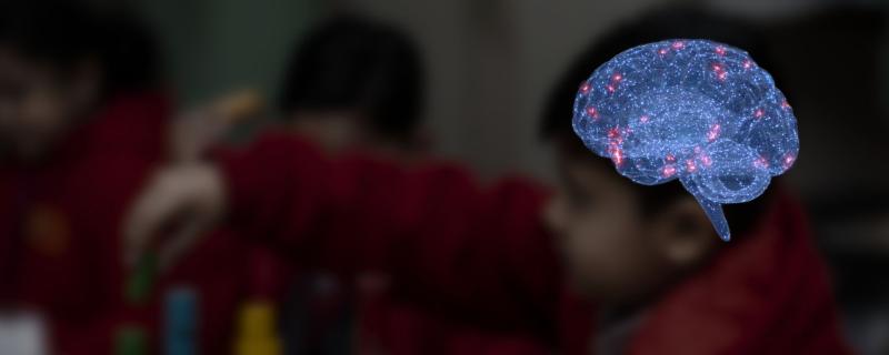 Brain activity during focus and attention 