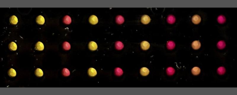A representation of the paper-discs with the substrate and cell free extracts together with (left to right) increasing concentrations of the sensor without trigger (yellow) compared to with trigger addition (shades of red).