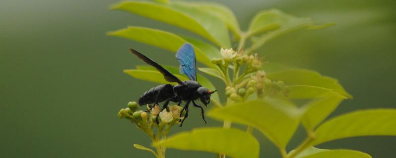 Photo : Purabi Deshpande / Research Matters