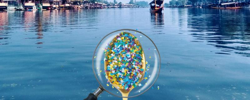 Microplastics in Dal Lake