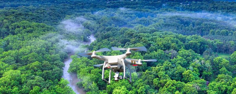 Drone over a forest