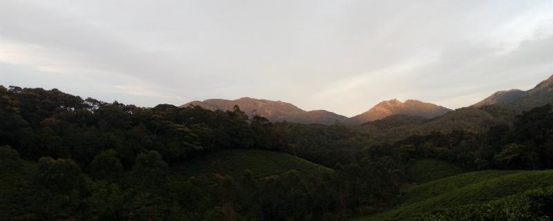 Photo : Vidisha Kulkarni / Research Matters