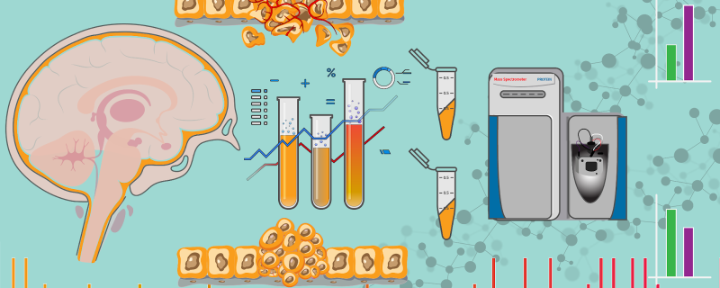 A graphic representation of  biomarkers that could predict meningioma severity