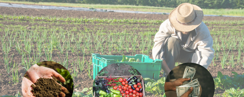 Farmer on a field