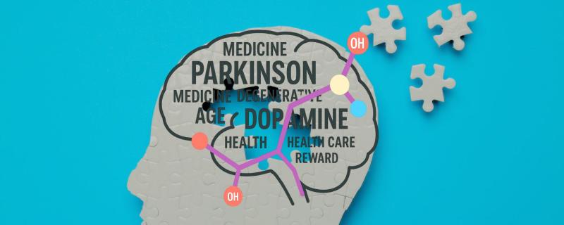 Graphical representation of removed puzzle pieces of the brain