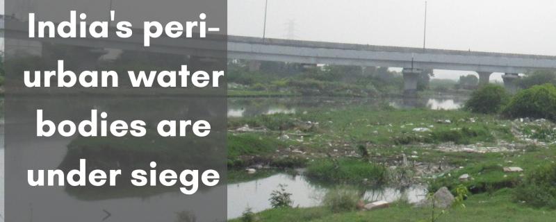 Peri-urban lake in Delhi